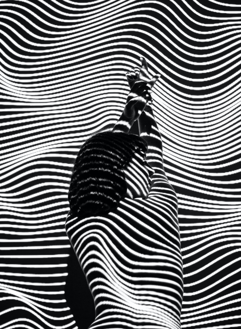 liane-tHHoR5oJyY4-unsplash Zebra
