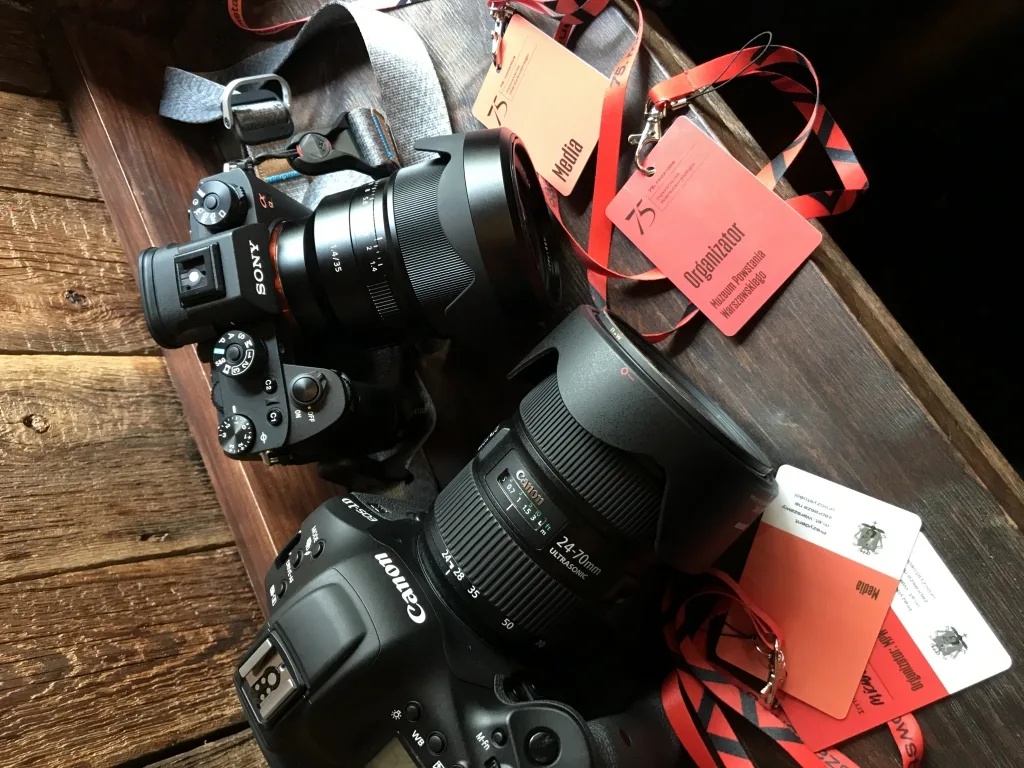 Canon 1DX Mark II vs Sony A9