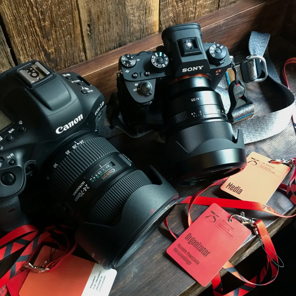 Canon 1DX Mark II vs Sony A9