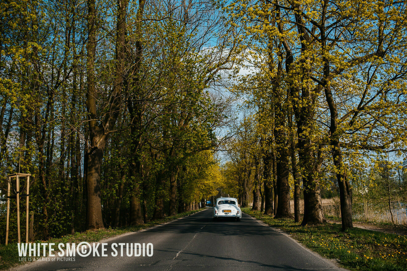 Ślub w Pałacu Obory w kwitnących magnoliach, Paulina i Tomek 54 Reportaz slubny Konstancin Jeziorna Palac Obory sesja slubna